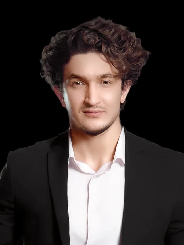 Ali Sotudeh – TerraGreen Team
