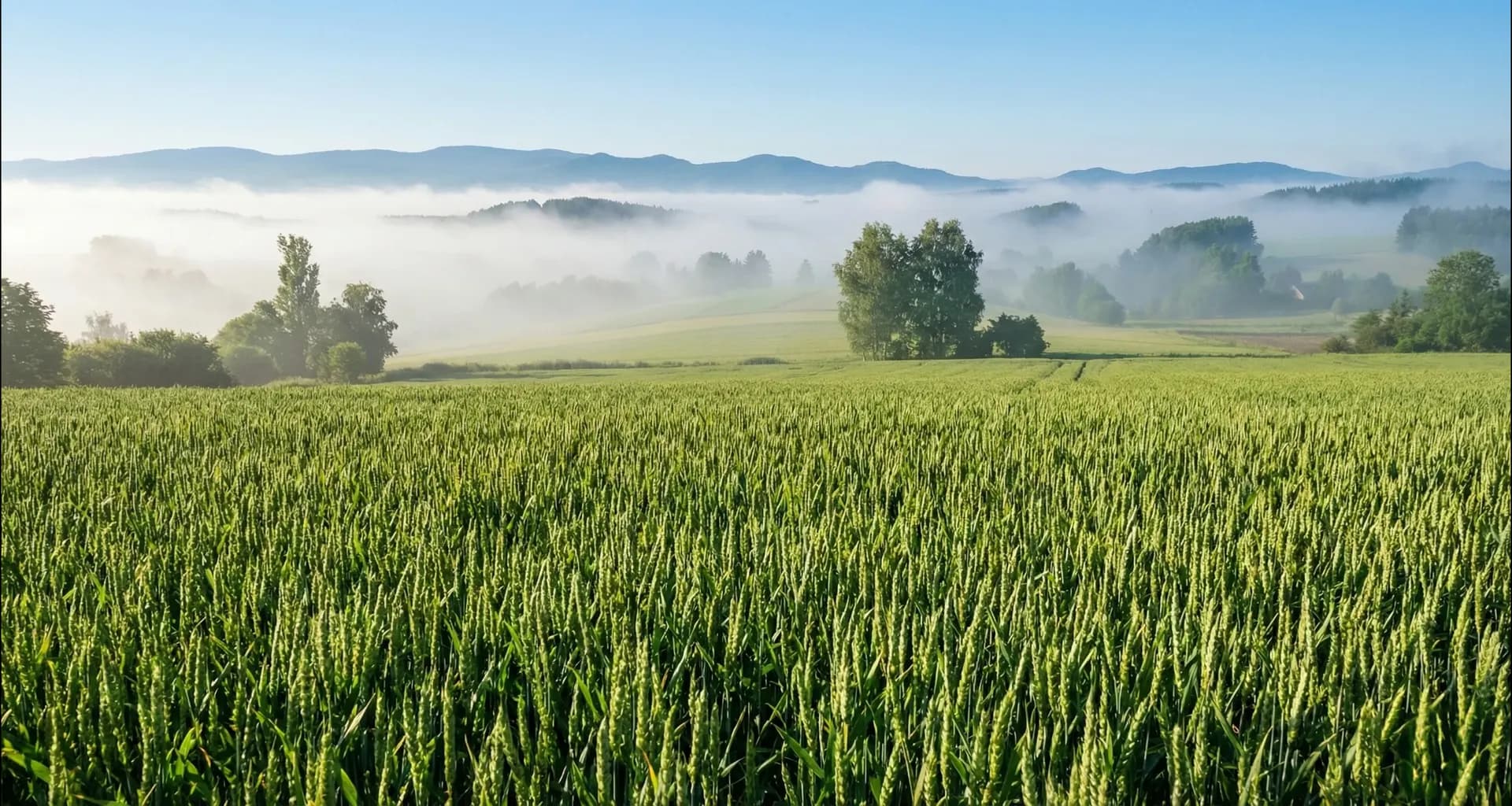 TerraGreen Team – Natur und Technologie im Einklang