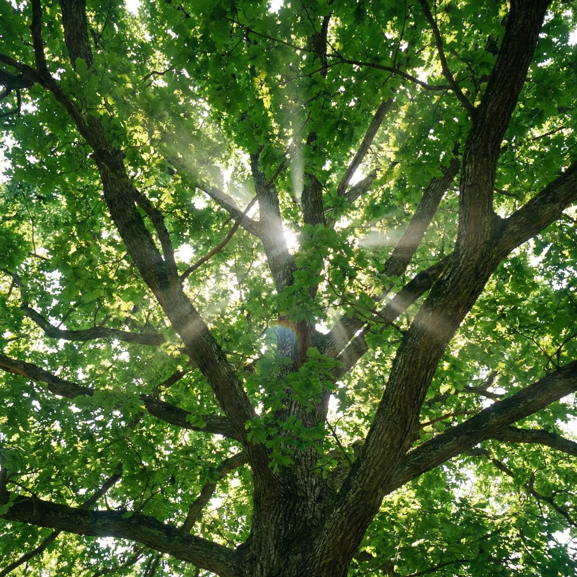 TerraGreen Team – Gemeinsam für grünere Lösungen