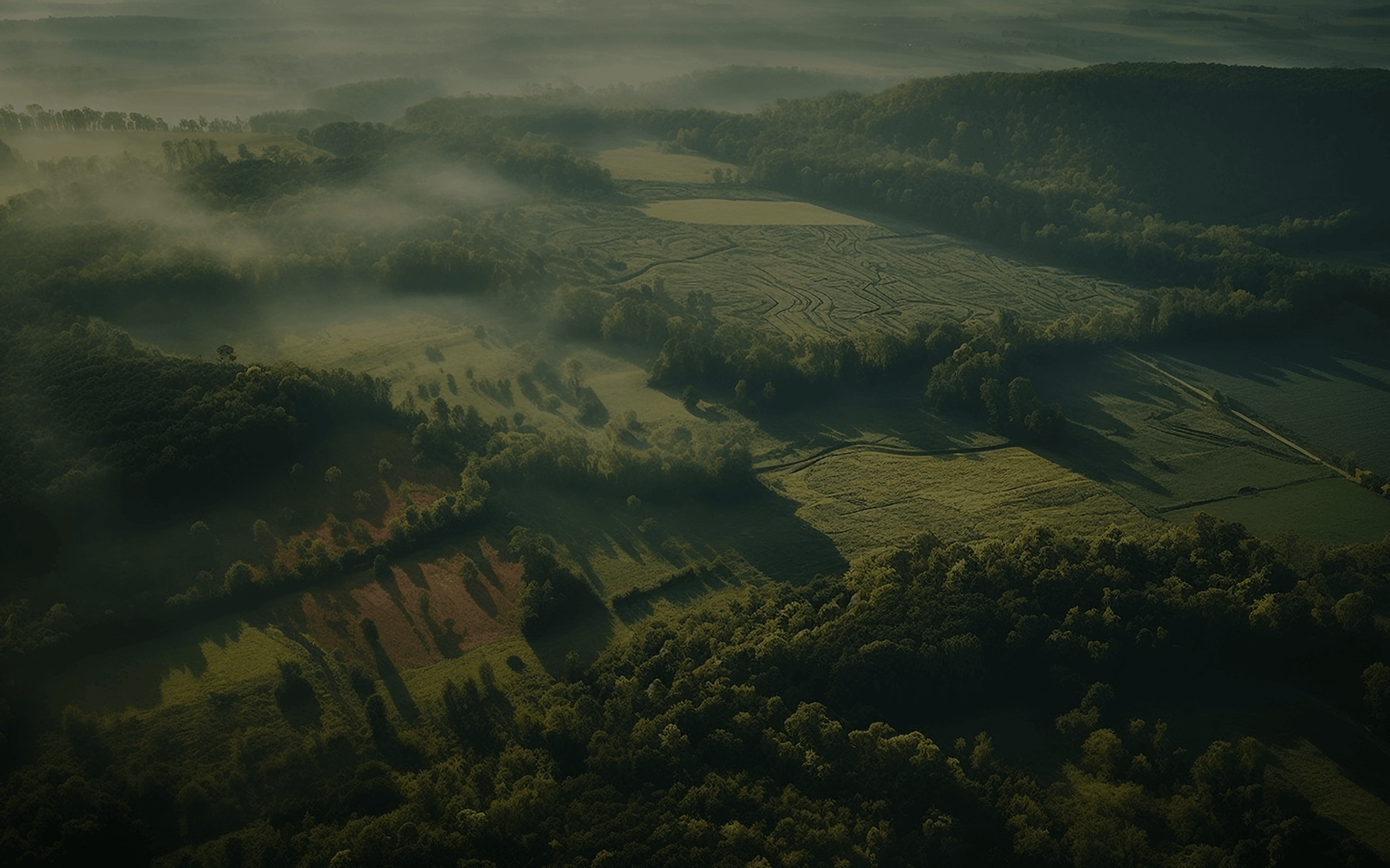 Luftaufnahme einer grünen Kulturlandschaft – Kompensationsflächen von Terragreen Solutions