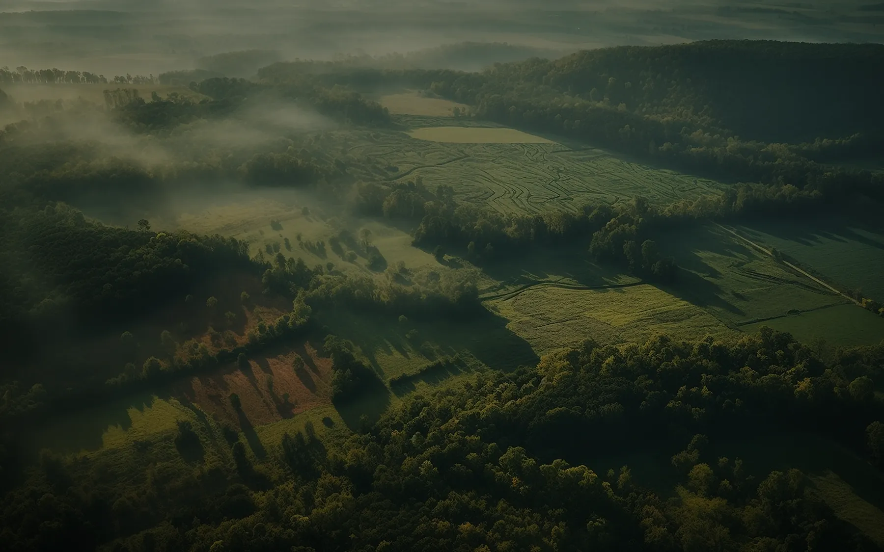 Luftaufnahme einer grünen Kulturlandschaft – Kompensationsflächen von Terragreen Solutions